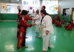 Taekwondo -Sparring