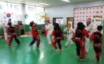 Taekwondo - Sparring