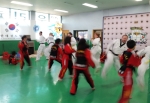 Taekwondo - Sparring