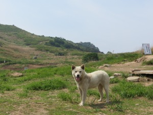 Changnyeong to Bugok (4)