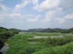 Upo Wetlands (7)